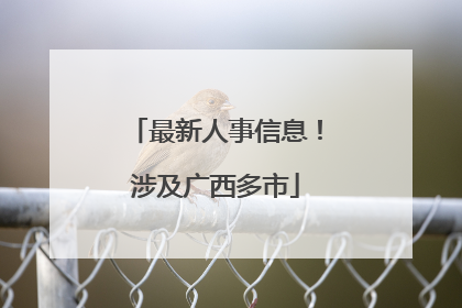 最新人事信息！涉及广西多市