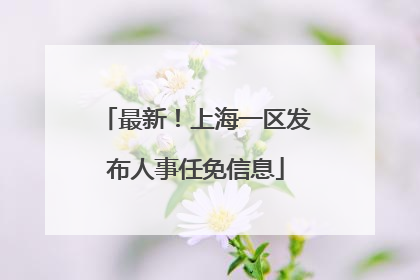 最新！上海一区发布人事任免信息