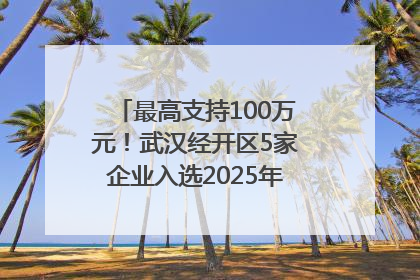 最高支持100万元！武汉经开区5家企业入选2025年度武汉市重点研发计划拟立项项目名单