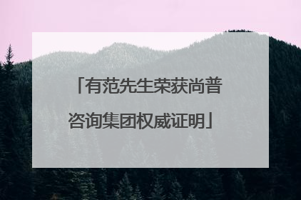 有范先生荣获尚普咨询集团权威证明