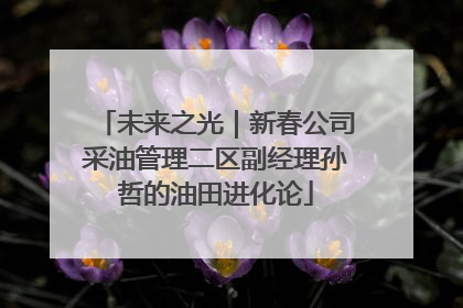 未来之光｜新春公司采油管理二区副经理孙哲的油田进化论