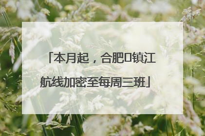 本月起，合肥⇋镇江航线加密至每周三班