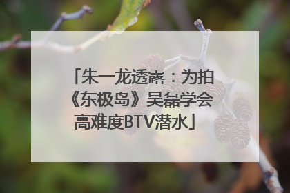 朱一龙透露：为拍《东极岛》吴磊学会高难度BTV潜水