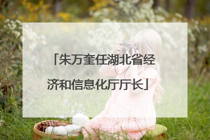 朱万奎任湖北省经济和信息化厅厅长