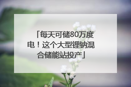 每天可储80万度电！这个大型锂钠混合储能站投产