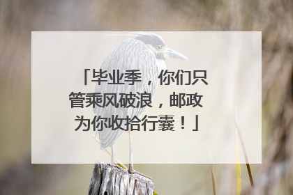 毕业季，你们只管乘风破浪，邮政为你收拾行囊！