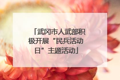 武冈市人武部积极开展“民兵活动日”主题活动