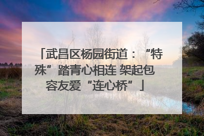 武昌区杨园街道：“特殊”踏青心相连 架起包容友爱“连心桥”