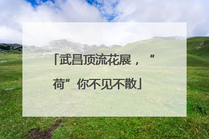 武昌顶流花展，“荷”你不见不散