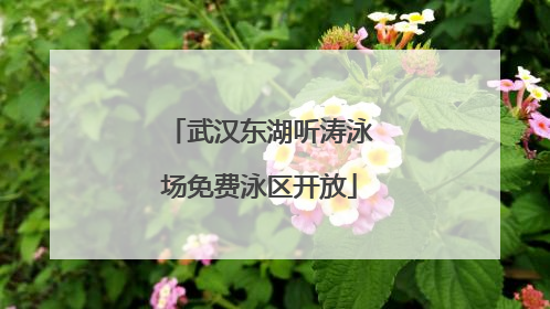 武汉东湖听涛泳场免费泳区开放