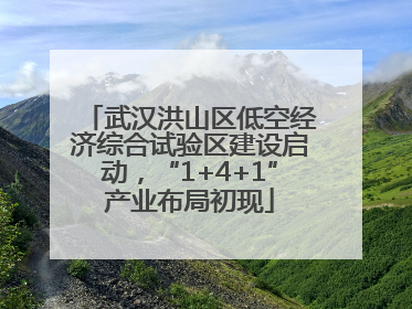武汉洪山区低空经济综合试验区建设启动，“1+4+1”产业布局初现