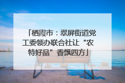栖霞市：翠屏街道党工委领办联合社让“农特好品”香飘四方