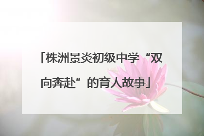 株洲景炎初级中学“双向奔赴”的育人故事
