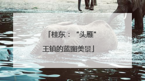 桂东：“头雁”王镇的蓝图美景