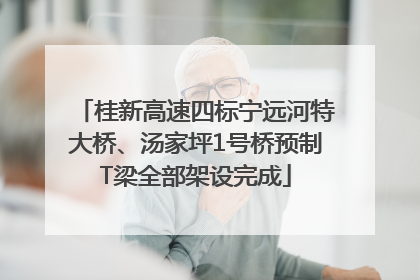 桂新高速四标宁远河特大桥、汤家坪1号桥预制T梁全部架设完成