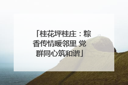 桂花坪桂庄：粽香传情暖邻里 党群同心筑和谐