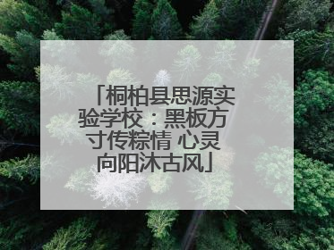 桐柏县思源实验学校：黑板方寸传粽情 心灵向阳沐古风