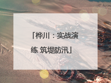 桦川：实战演练 筑堤防汛