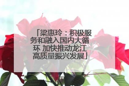 梁惠玲：积极服务和融入国内大循环 加快推动龙江高质量振兴发展