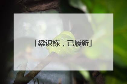 梁识栋，已履新