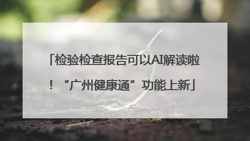 检验检查报告可以AI解读啦！“广州健康通”功能上新