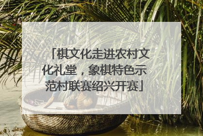 棋文化走进农村文化礼堂，象棋特色示范村联赛绍兴开赛