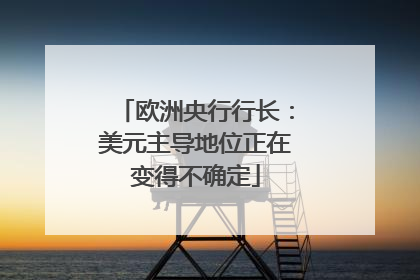 欧洲央行行长：美元主导地位正在变得不确定