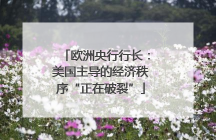 欧洲央行行长：美国主导的经济秩序“正在破裂”