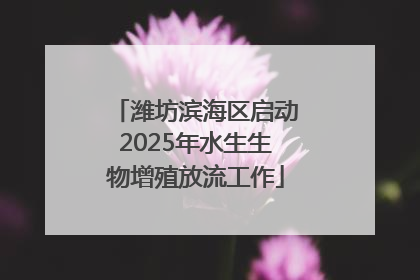 潍坊滨海区启动2025年水生生物增殖放流工作