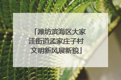潍坊滨海区大家洼街道孟家庄子村文明新风展新貌