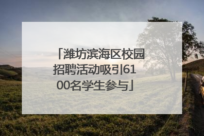 潍坊滨海区校园招聘活动吸引6100名学生参与