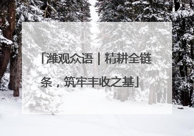 潍观众语｜精耕全链条，筑牢丰收之基