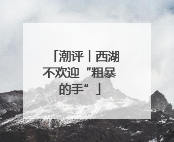 潮评丨西湖不欢迎“粗暴的手”