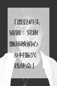 澧县码头铺镇：党旗飘扬映初心 乡村振兴践使命