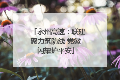 永州高速：联建聚力筑防线 党徽闪耀护平安