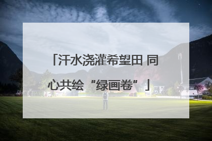 汗水浇灌希望田 同心共绘“绿画卷”