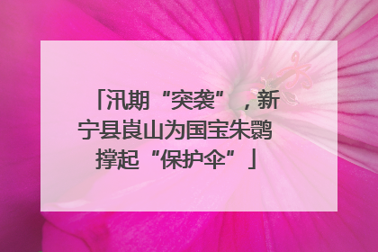 汛期“突袭”，新宁县崀山为国宝朱鹮撑起“保护伞”