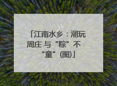 江南水乡：潮玩周庄 与“粽”不“童”(图)