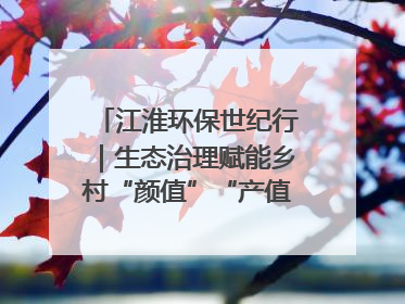 江淮环保世纪行｜生态治理赋能乡村“颜值”“产值”双提升