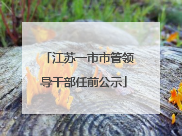 江苏一市市管领导干部任前公示