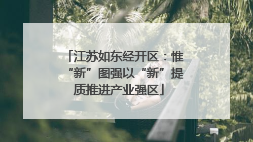 江苏如东经开区：惟“新”图强以“新”提质推进产业强区