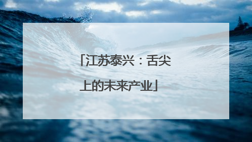 江苏泰兴：舌尖上的未来产业