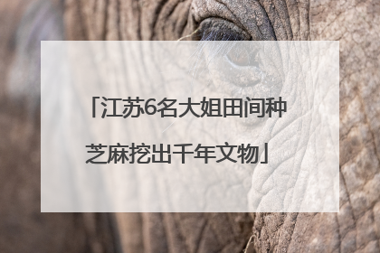 江苏6名大姐田间种芝麻挖出千年文物