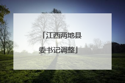 江西两地县委书记调整