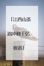 江西山茶油冲刺千亿赛道