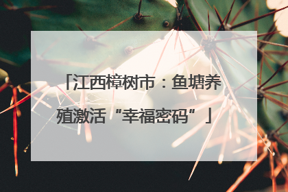 江西樟树市：鱼塘养殖激活“幸福密码”
