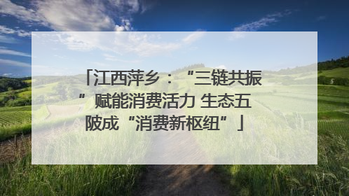 江西萍乡：“三链共振”赋能消费活力 生态五陂成“消费新枢纽”