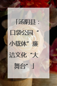 汤阴县：口袋公园“小载体”廉洁文化“大舞台”