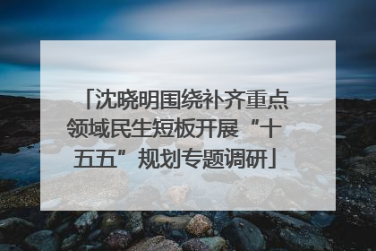 沈晓明围绕补齐重点领域民生短板开展“十五五”规划专题调研