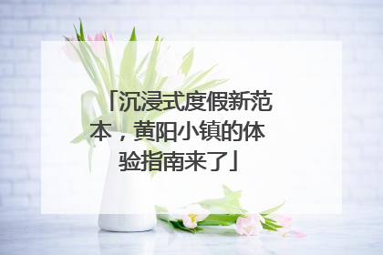 沉浸式度假新范本，黄阳小镇的体验指南来了